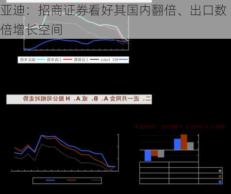 
亚迪：招商证券看好其国内翻倍、出口数倍增长空间