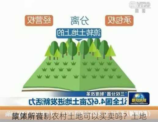 集体所有制农村土地可以买卖吗？土地
政策解读！