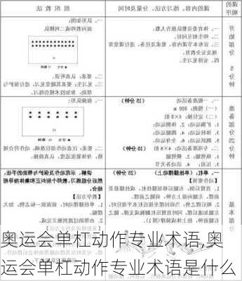 奥运会单杠动作专业术语,奥运会单杠动作专业术语是什么