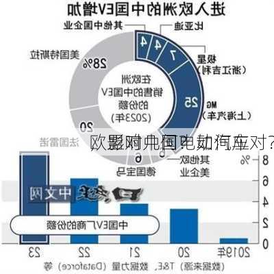 欧盟对中国电动汽车
，影响几何？如何应对？