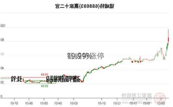 锴威特涨停 
19.99%