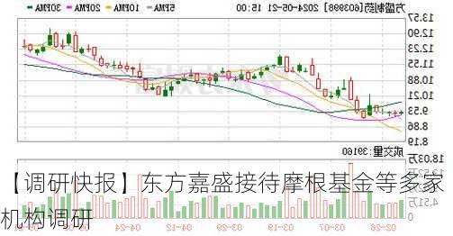 【调研快报】东方嘉盛接待摩根基金等多家机构调研