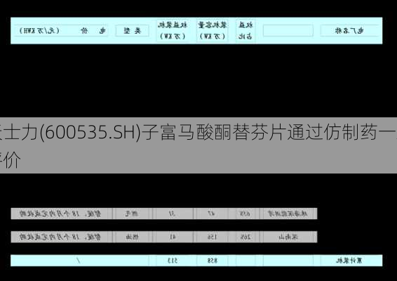 天士力(600535.SH)子富马酸酮替芬片通过仿制药一致
评价