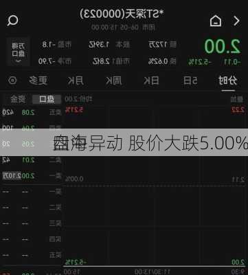 四海
盘中异动 股价大跌5.00%