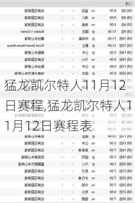 猛龙凯尔特人11月12日赛程,猛龙凯尔特人11月12日赛程表