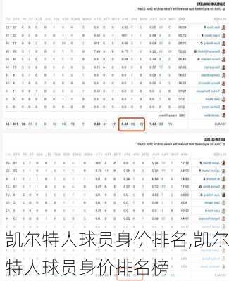 凯尔特人球员身价排名,凯尔特人球员身价排名榜