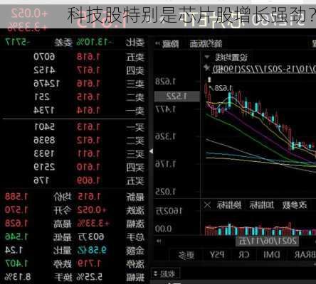 科技股特别是芯片股增长强劲？