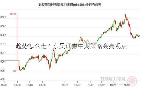 2024
趋势怎么走？东吴证券中期策略会亮观点