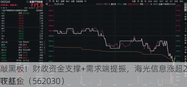 敲黑板！财政资金支撑+需求端提振，海光信息涨超2%，信创ETF基金（562030）
收红！