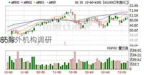 85家
获海外机构调研