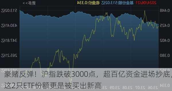 豪赌反弹！沪指跌破3000点，超百亿资金进场抄底，这2只ETF份额更是被买出新高