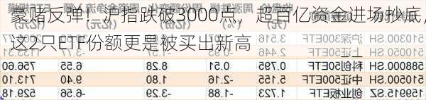 豪赌反弹！沪指跌破3000点，超百亿资金进场抄底，这2只ETF份额更是被买出新高