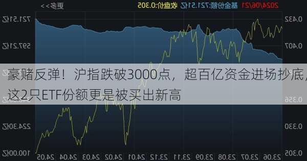 豪赌反弹！沪指跌破3000点，超百亿资金进场抄底，这2只ETF份额更是被买出新高