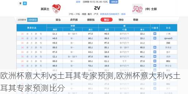 欧洲杯意大利vs土耳其专家预测,欧洲杯意大利vs土耳其专家预测比分