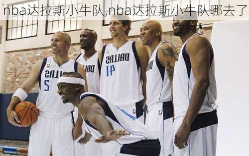 nba达拉斯小牛队,nba达拉斯小牛队哪去了