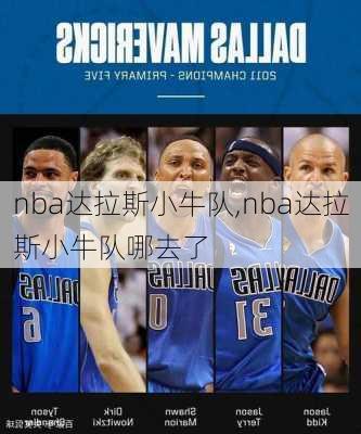 nba达拉斯小牛队,nba达拉斯小牛队哪去了