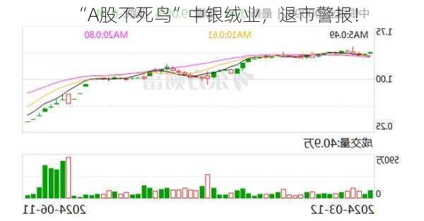 “A股不死鸟”中银绒业，退市警报！