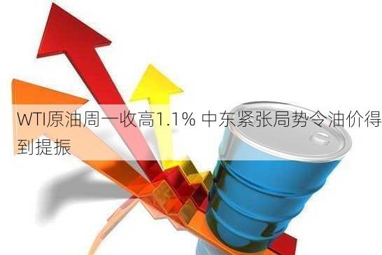 
WTI原油周一收高1.1% 中东紧张局势令油价得到提振