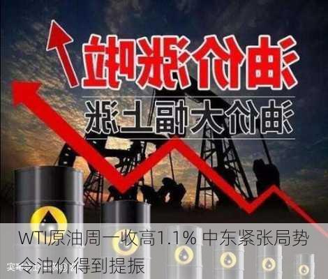 
WTI原油周一收高1.1% 中东紧张局势令油价得到提振