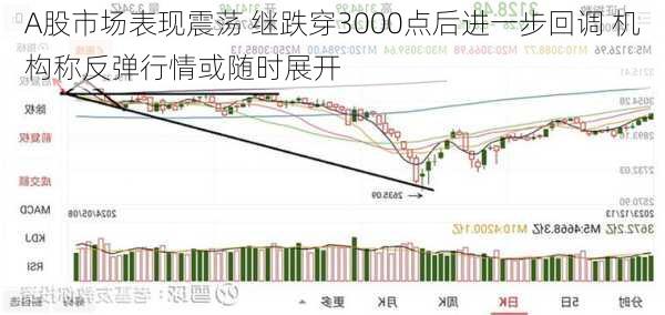 A股市场表现震荡 继跌穿3000点后进一步回调 机构称反弹行情或随时展开