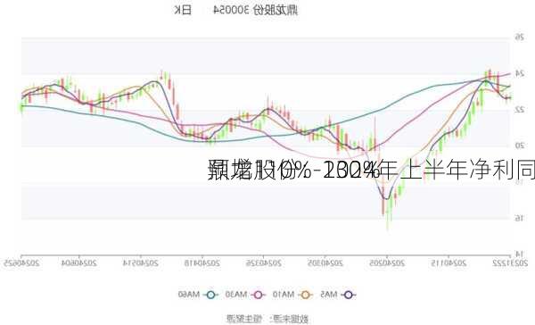 鼎龙股份：2024年上半年净利同
预增110%-130%