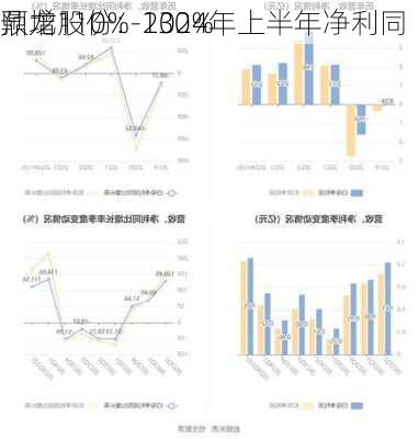 鼎龙股份：2024年上半年净利同
预增110%-130%