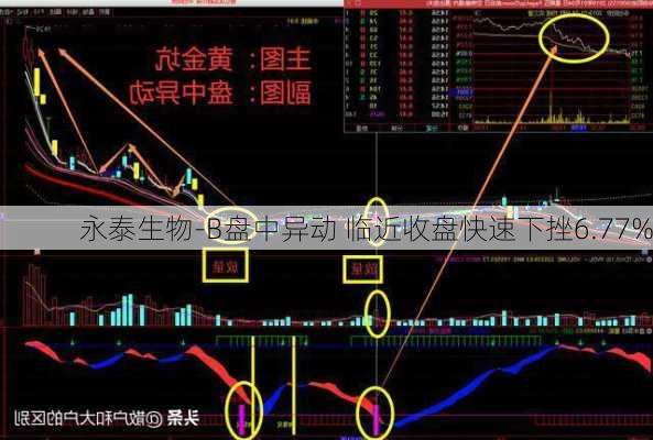 永泰生物-B盘中异动 临近收盘快速下挫6.77%