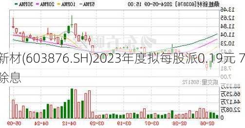 鼎胜新材(603876.SH)2023年度拟每股派0.19元 7月5
除权除息