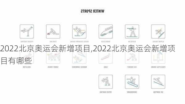 2022北京奥运会新增项目,2022北京奥运会新增项目有哪些