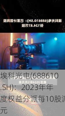 埃科光电(688610.SH)：2023年年度权益分派每10股派2元