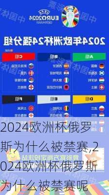 2024欧洲杯俄罗斯为什么被禁赛,2024欧洲杯俄罗斯为什么被禁赛呢