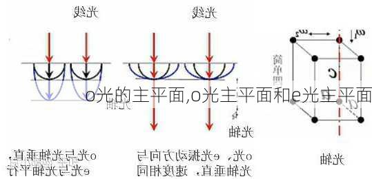 o光的主平面,o光主平面和e光主平面