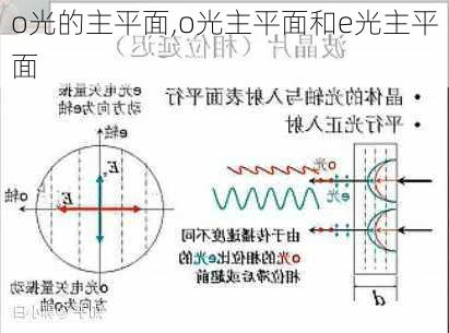 o光的主平面,o光主平面和e光主平面