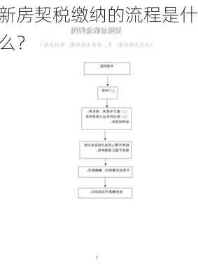 新房契税缴纳的流程是什么？