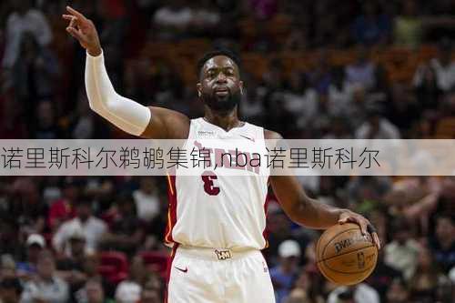 诺里斯科尔鹈鹕集锦,nba诺里斯科尔