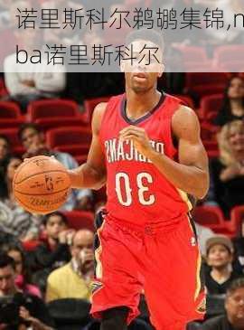 诺里斯科尔鹈鹕集锦,nba诺里斯科尔