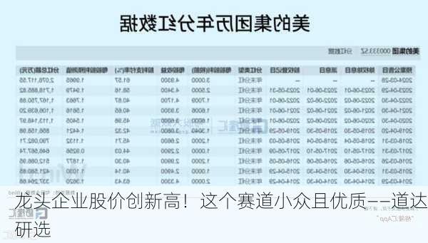 龙头企业股价创新高！这个赛道小众且优质――道达研选