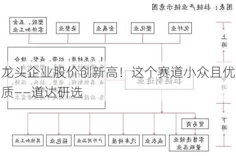 龙头企业股价创新高！这个赛道小众且优质――道达研选