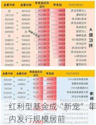 红利型基金成“新宠” 年内发行规模居前