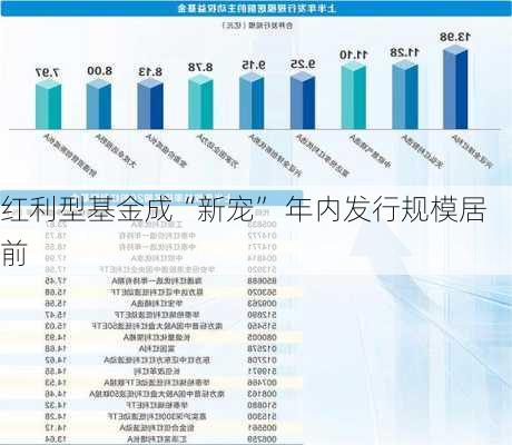 红利型基金成“新宠” 年内发行规模居前