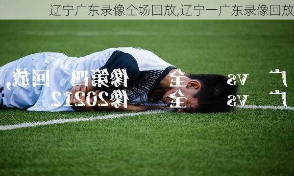 辽宁广东录像全场回放,辽宁一广东录像回放