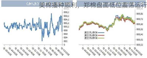 美棉播种顺利，郑棉盘面低位震荡运行