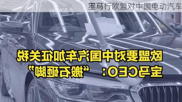 宝马：欧盟对中国电动汽车
不可行