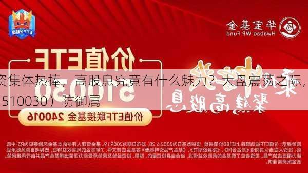 内外资集体热捧，高股息究竟有什么魅力？大盘震荡之际，价值ETF（510030）防御属
凸显！