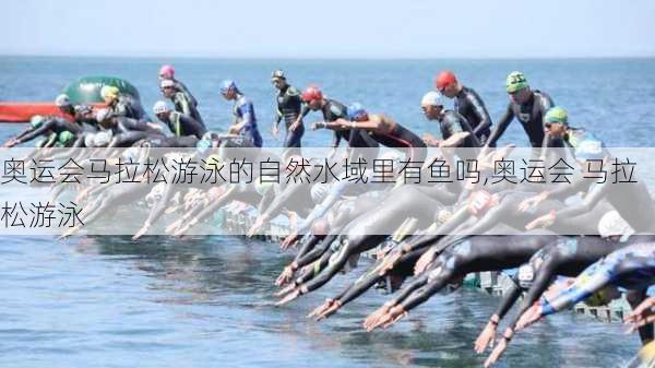 奥运会马拉松游泳的自然水域里有鱼吗,奥运会 马拉松游泳