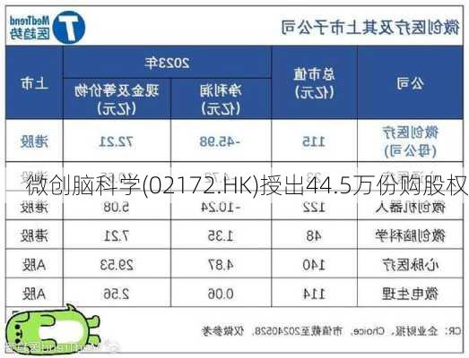 微创脑科学(02172.HK)授出44.5万份购股权