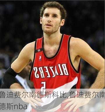 鲁迪费尔南德斯科比,鲁迪费尔南德斯nba