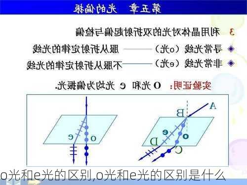 o光和e光的区别,o光和e光的区别是什么