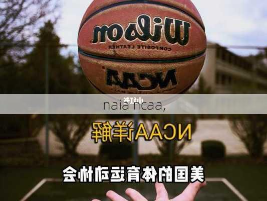 naia ncaa,