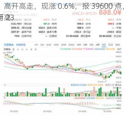 
指数：高开高走，现涨 0.6%，报 39600 点，创 5 月 23 
以来新高